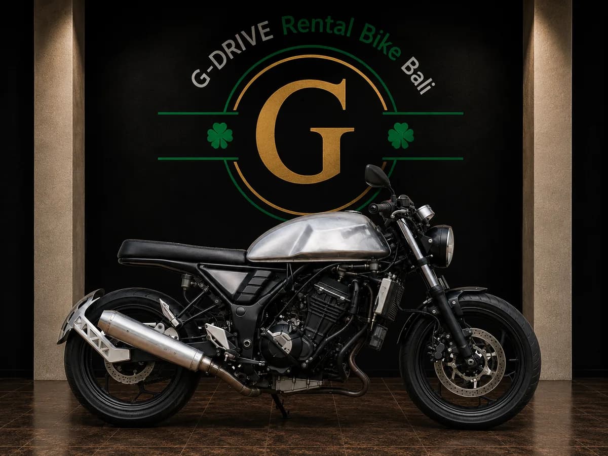 Kawasaki Ninja 250 ABS Custom rental in Bali — sport bike rental Bali