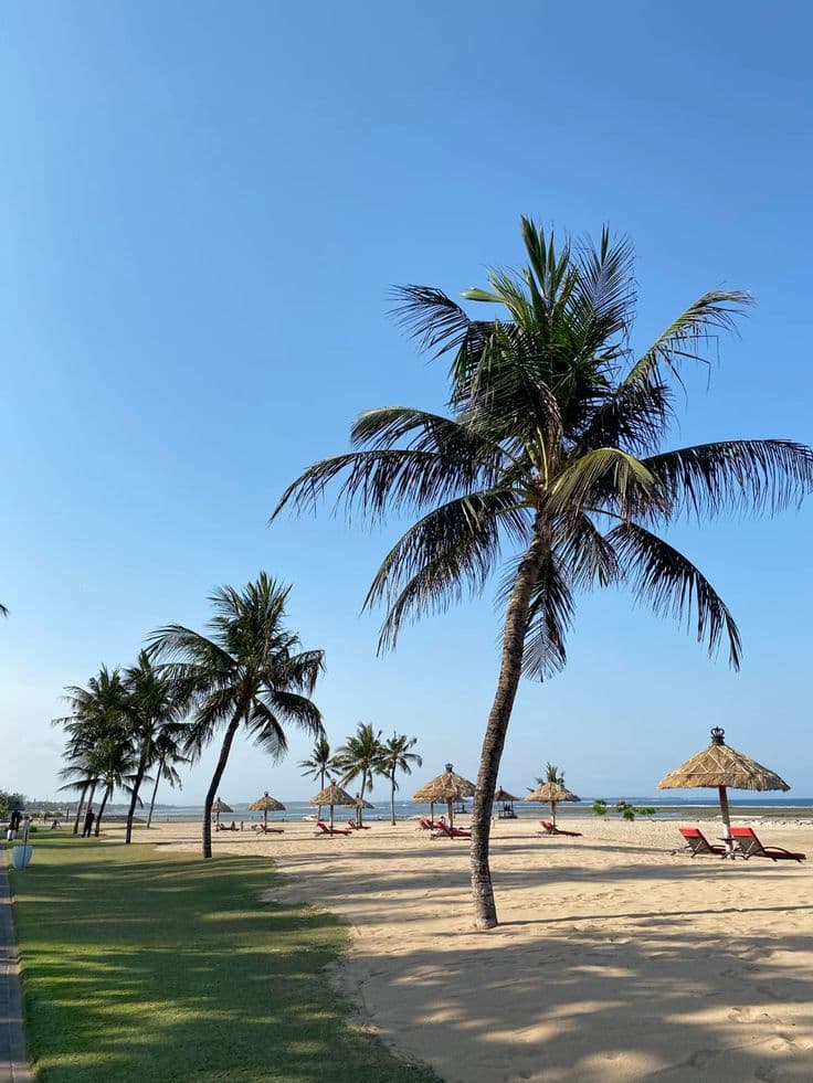 Nusa Dua white sand beach with palm trees and turquoise ocean, Bali