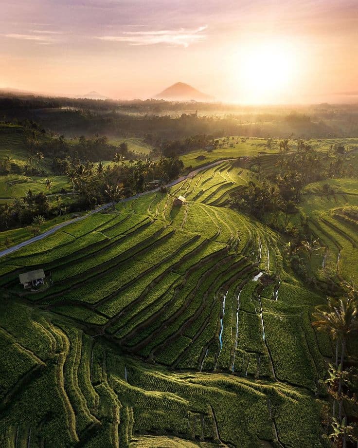 Jatiluwih Rice Terraces UNESCO landscape at sunrise with mountain backdrop